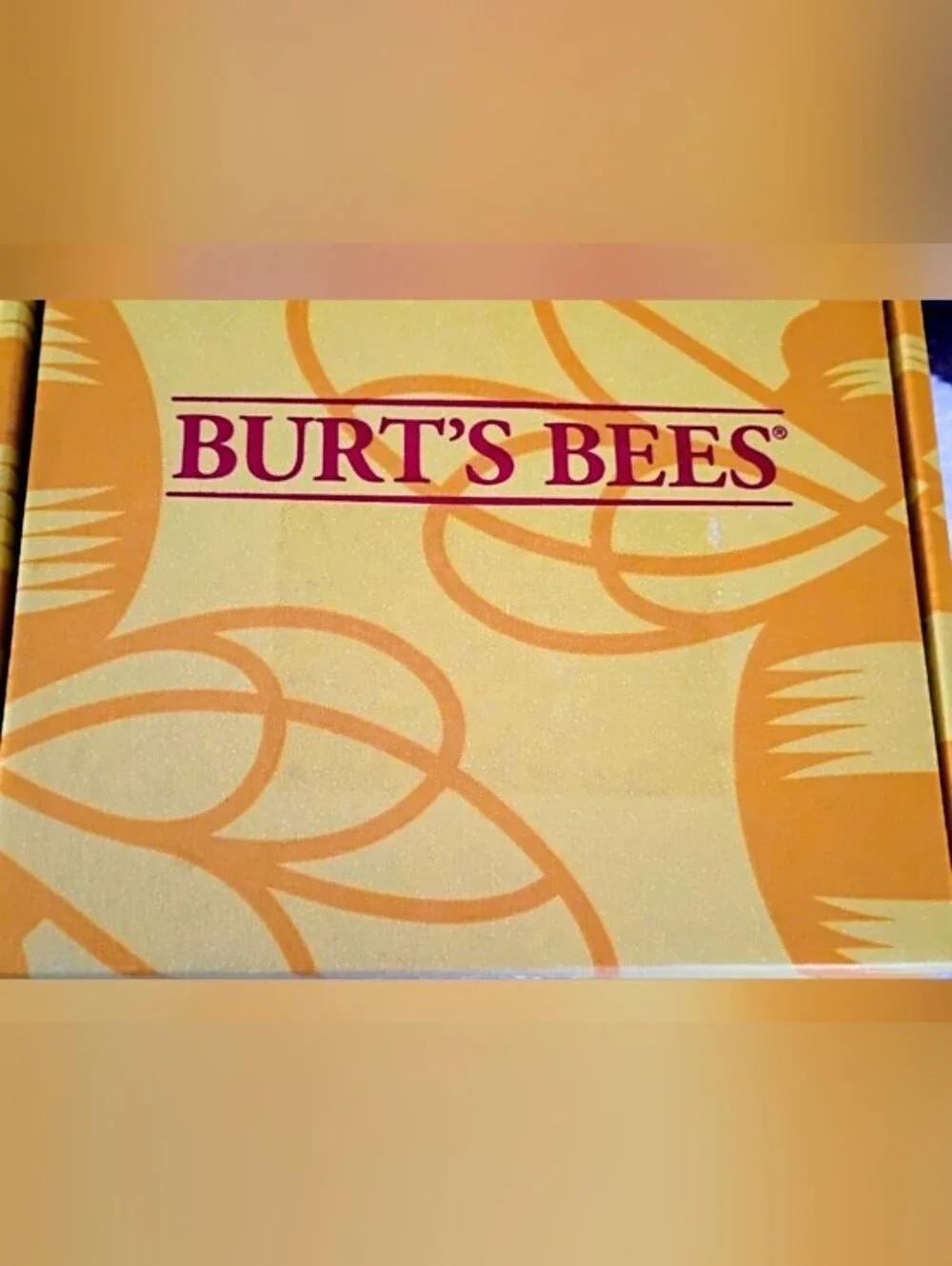Burt's Bees Moisturizing Lip Balm